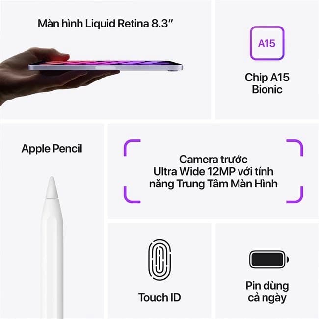 iPad Mini 6 Likenew 99%